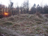 Jackets Field Long Barrow - PID:44633