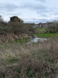 St. Thomas a Becket's Spring (Bapchild) - PID:302910