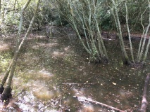 Oldbury Hillfort