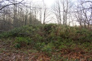 Eggringe Wood Barrow Cemetery - PID:160481