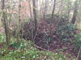 Lousyberry Wood Tumuli - PID:175511