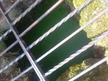 St. Margaret's Well (Broomfield) - PID:110953