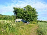 Generals' Stone copse - PID:96334