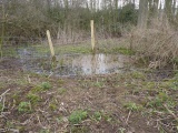 Duke's Spring - PID:55973