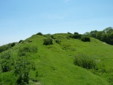 Aldington Knoll Barrow - PID:89571