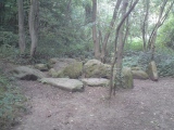Walderslade Wood Sarsons - PID:65766
