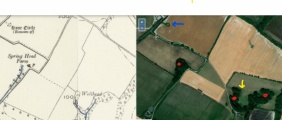 Cossington Spring - PID:260913