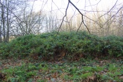 Eggringe Wood Barrow Cemetery - PID:160480