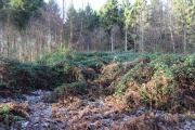 Eggringe Wood Bowl Barrow - PID:160483