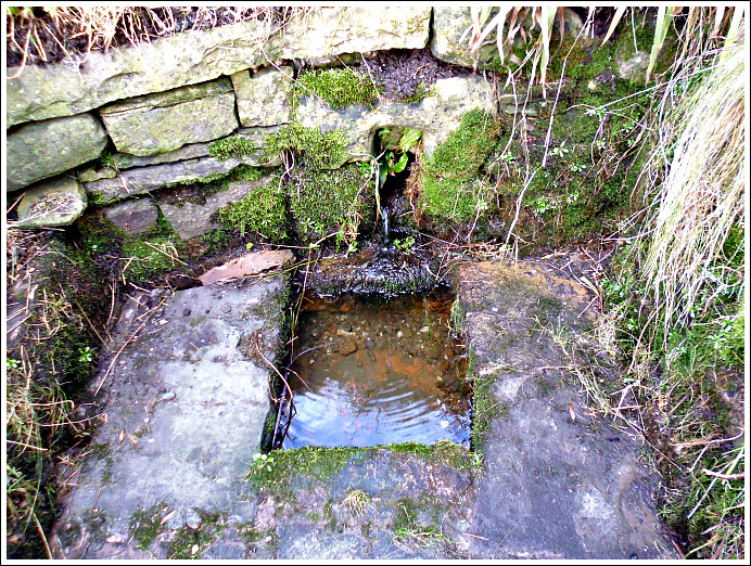 Catlow Well/Spring, Lancashire | Megalithic Portal