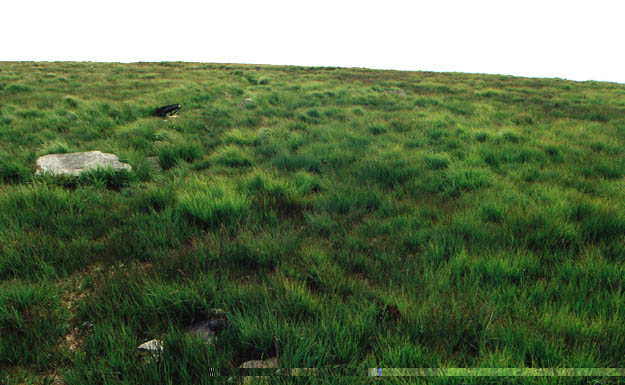 The remaining stones of the Cheetham Close stone circle near Chapeltown in Lancashire at GR: SD71651589
