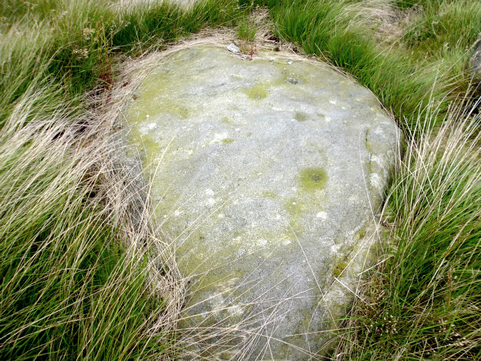 Cow Bug Rocks Cow Head (Blackstone Edge), Lancashire | Megalithic Portal