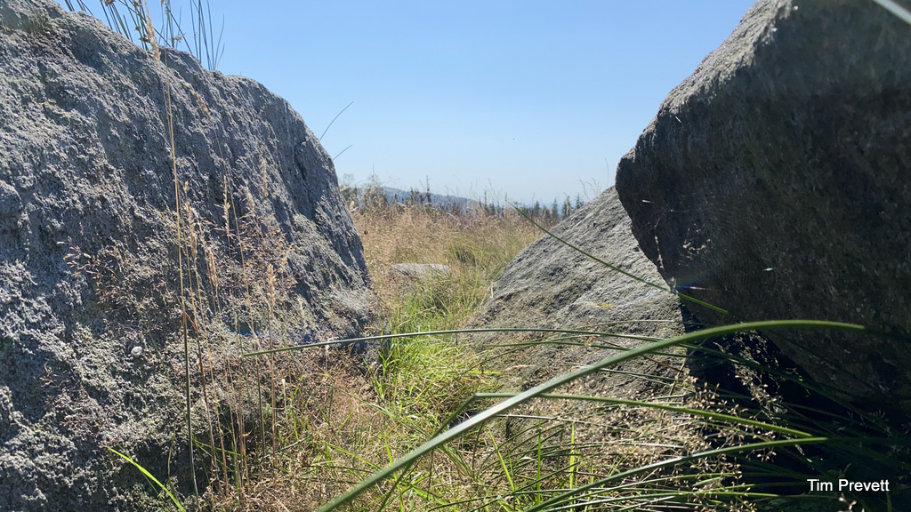 Pikestones