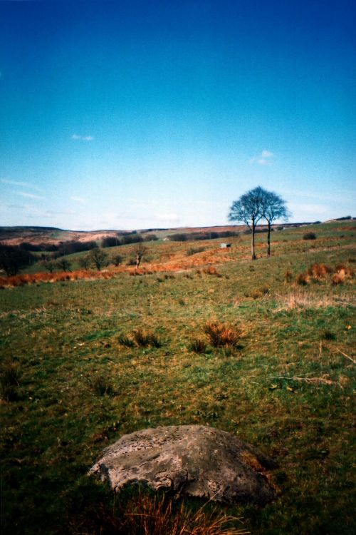 Seven Stones. Here's a Stone Row that seems to have been pulled over. One of the stones has been carved and it's tempting to wonder what is on the opposite side. It wouldn't be too difficult to reinstate this row and it might align with the May day / Lammas day sunrises. It indicates two small cairns (much altered) on the Western horizon.