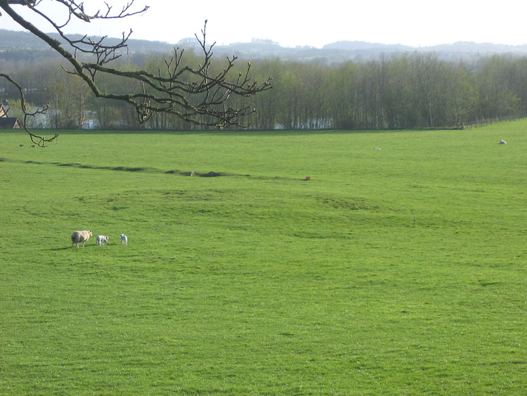 Click for the gallery page to add comments and vote (PID:13134) Manor Farm