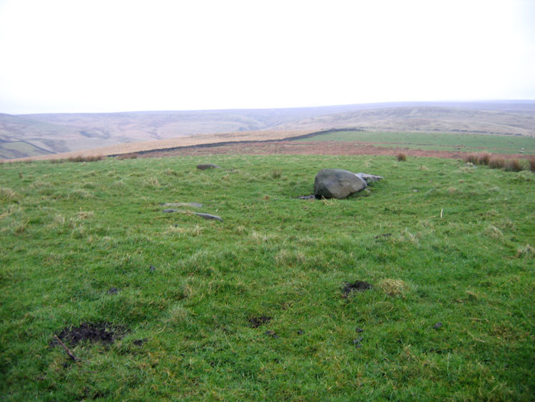 Click for the gallery page to add comments and vote (PID:13172) Hameldon Pasture (I)