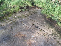 Bidston Hill Rock Carvings