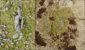 Pikestones