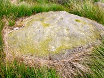 Cow Head (Blackstone Edge)