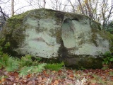 Face Stone (Stapledon Wood) - PID:179599
