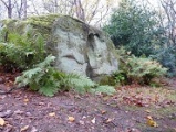 Face Stone (Stapledon Wood) - PID:179601