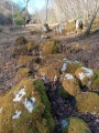 Haweswater Stones - PID:228383