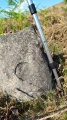 Clegg Moor - PID:289467