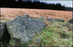 Pikestones