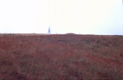 Winter Hill Cairn