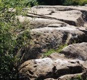 Warton Crag