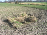 St Anne's Well (St Helens) submitted by LivingRocks