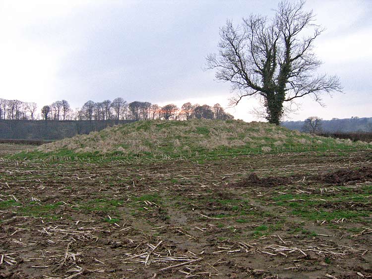 Winckley Lowe I The smaller of the two Winckley Barrows