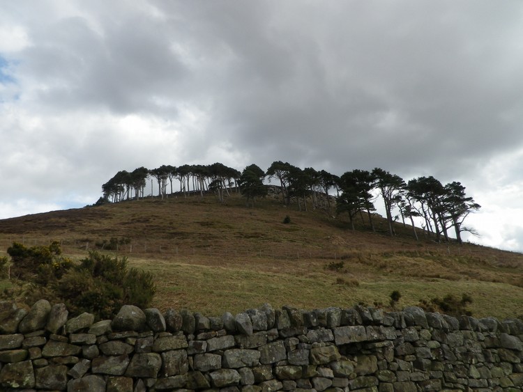 Click for the gallery page to add comments and vote (PID:106454) Old Bewick Hillfort