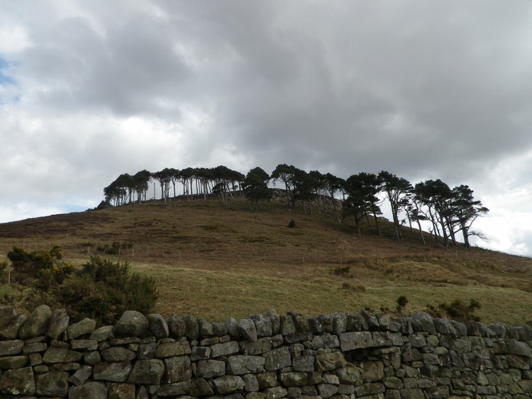 Old Bewick Hillfort