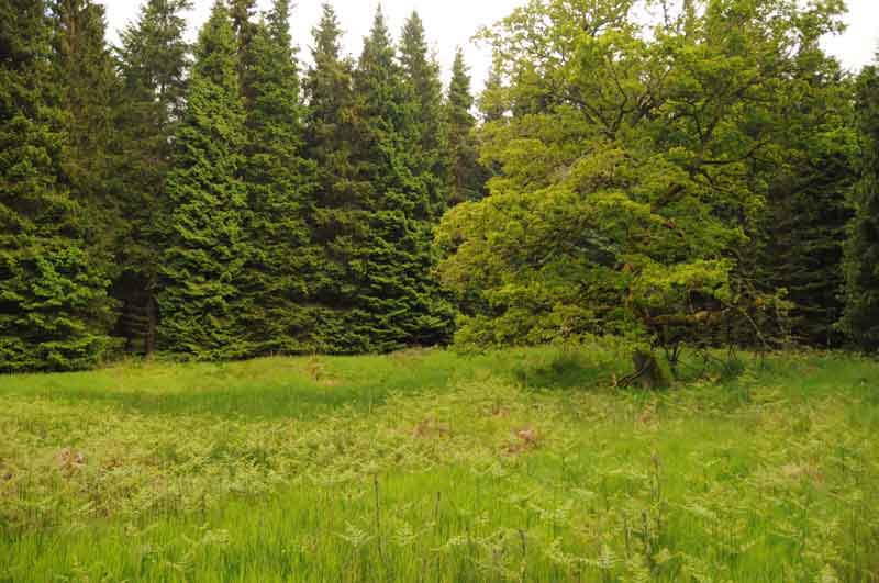 Click for the gallery page to add comments and vote (PID:120647) Sidwood Iron Age Settlement