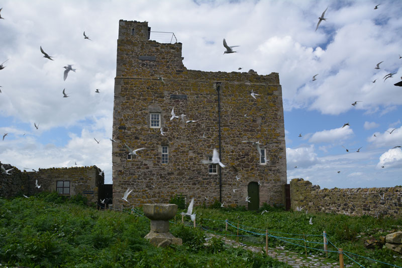 Click for the gallery page to add comments and vote (PID:166723) St. Cuthbert's Well (Farne Islands)