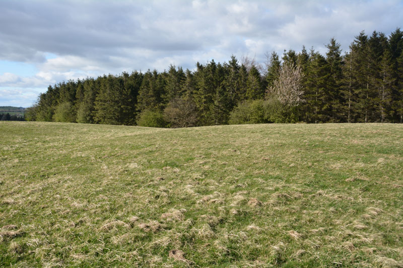 Click for the gallery page to add comments and vote (PID:164393) Castle Hill (Whittonstall)