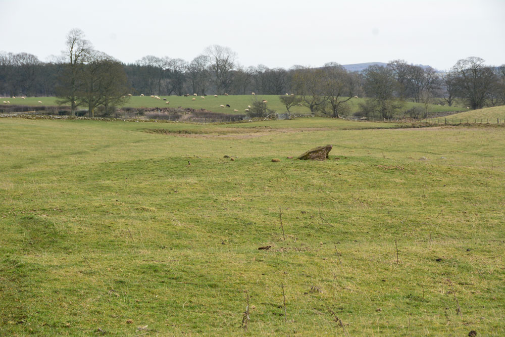 Click for the gallery page to add comments and vote (PID:193675) The Fawns (Kirkwhelpington)