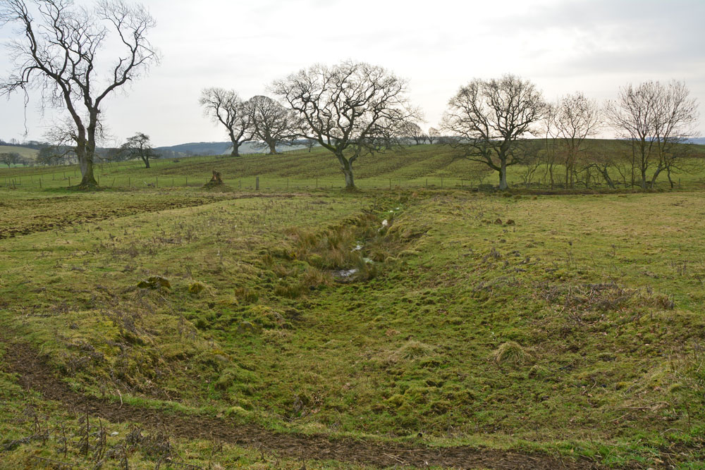 Approaching the well from the field gate to the north, we first came upon what is now a large, dry(ish) pool area.  The spring emerges from the right hand side of the bank where the pool narrows into a channel which runs south to the field boundary. A lovely location.