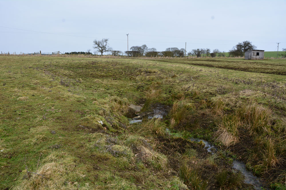 Click for the gallery page to add comments and vote (PID:193610) Hallington Holy Well