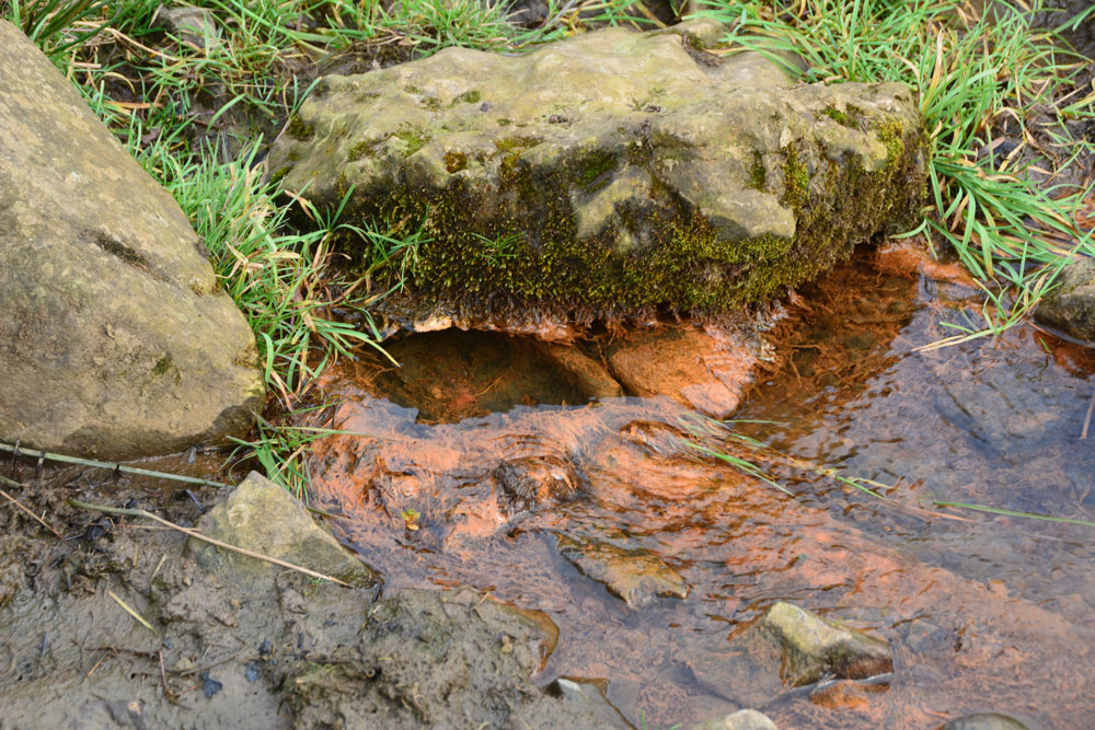 Click for the gallery page to add comments and vote (PID:193613) St Mary's Well (Kirkwhelpington)