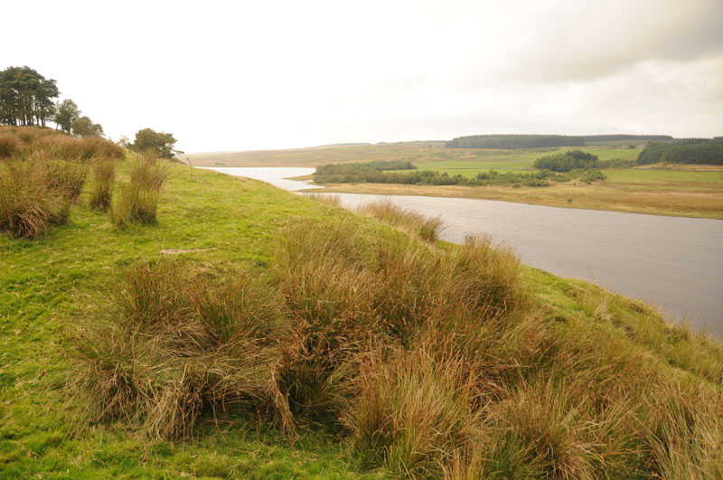 Ridley Common Enclosure