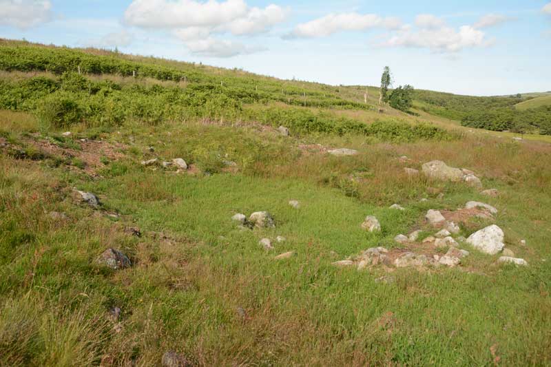 Click for the gallery page to add comments and vote (PID:134904) Fallowlees Settlement