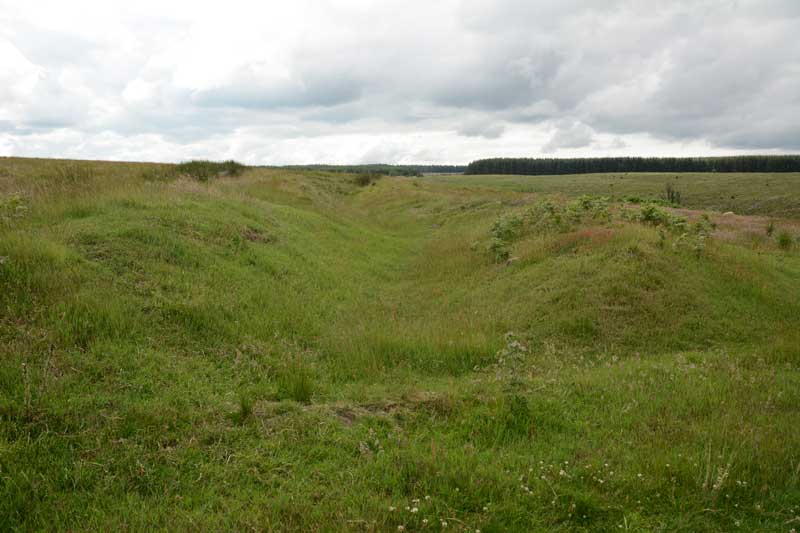 Click for the gallery page to add comments and vote (PID:134835) West Shank Enclosure