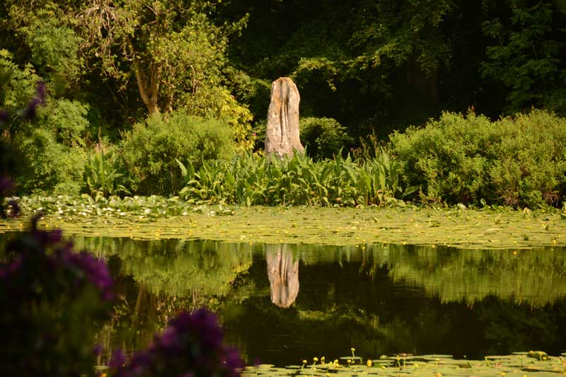 Click for the gallery page to add comments and vote (PID:134227) Wallington Hall Standing Stone