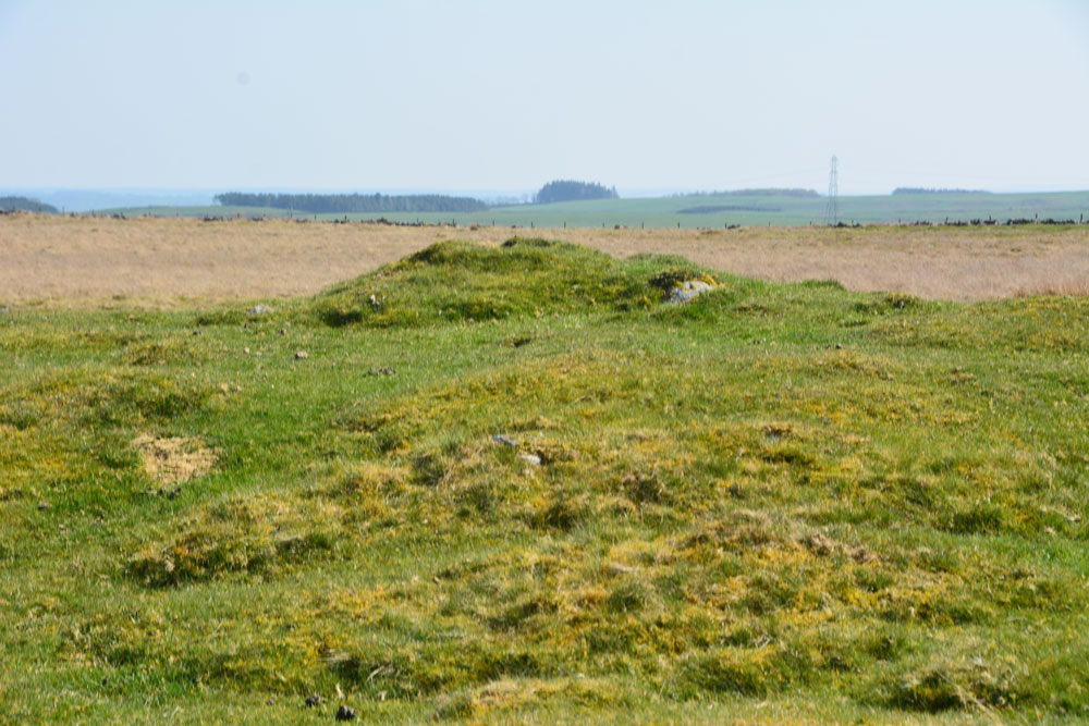 Click for the gallery page to add comments and vote (PID:196475) Howden Hill Middle Cairn