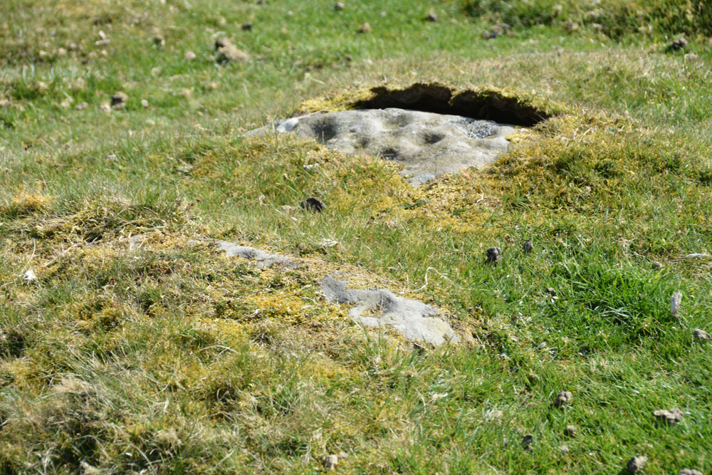 Click for the gallery page to add comments and vote (PID:196426) Howden Hill 2