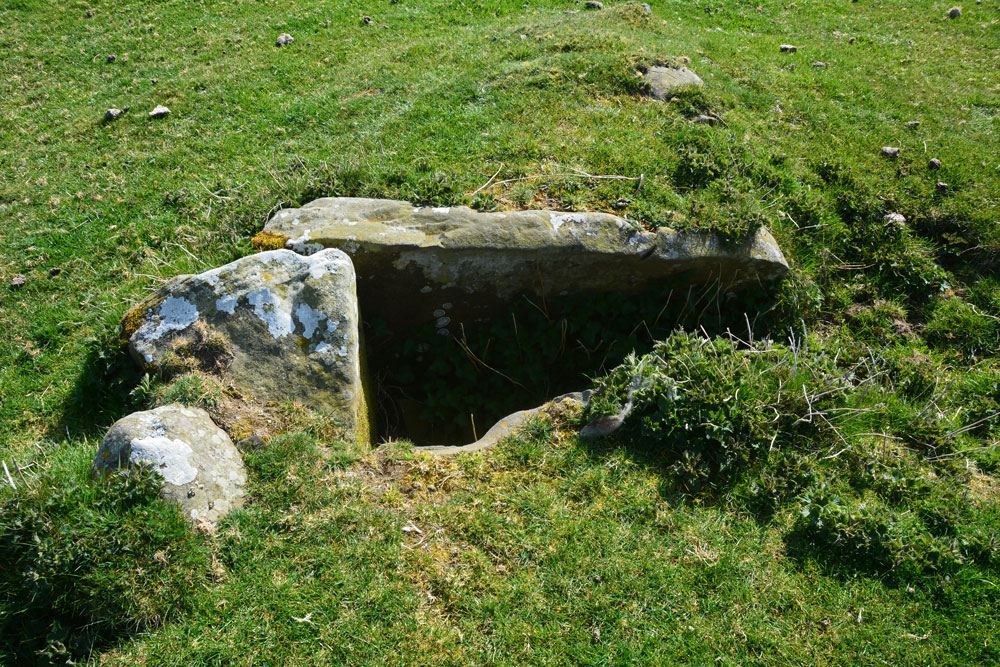 Click for the gallery page to add comments and vote (PID:196444) Howden Hill Cists