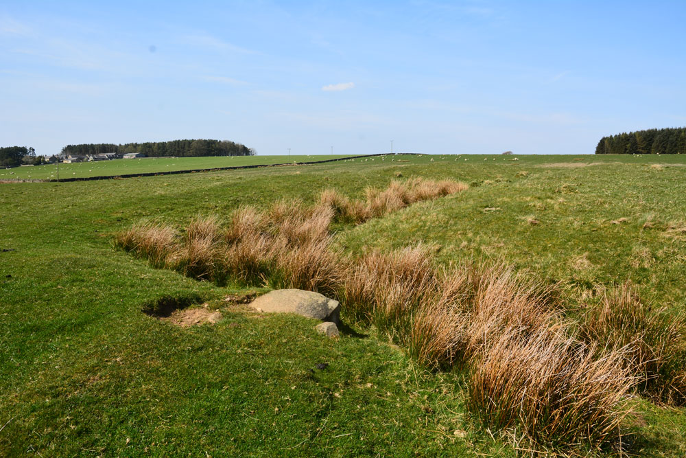 Click for the gallery page to add comments and vote (PID:196438) West Howden Hill