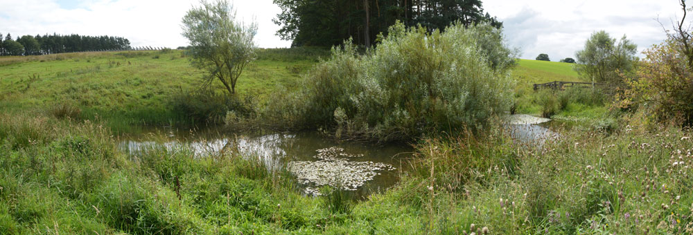 Click for the gallery page to add comments and vote (PID:185218) Brandy Well (Great Whittingham)